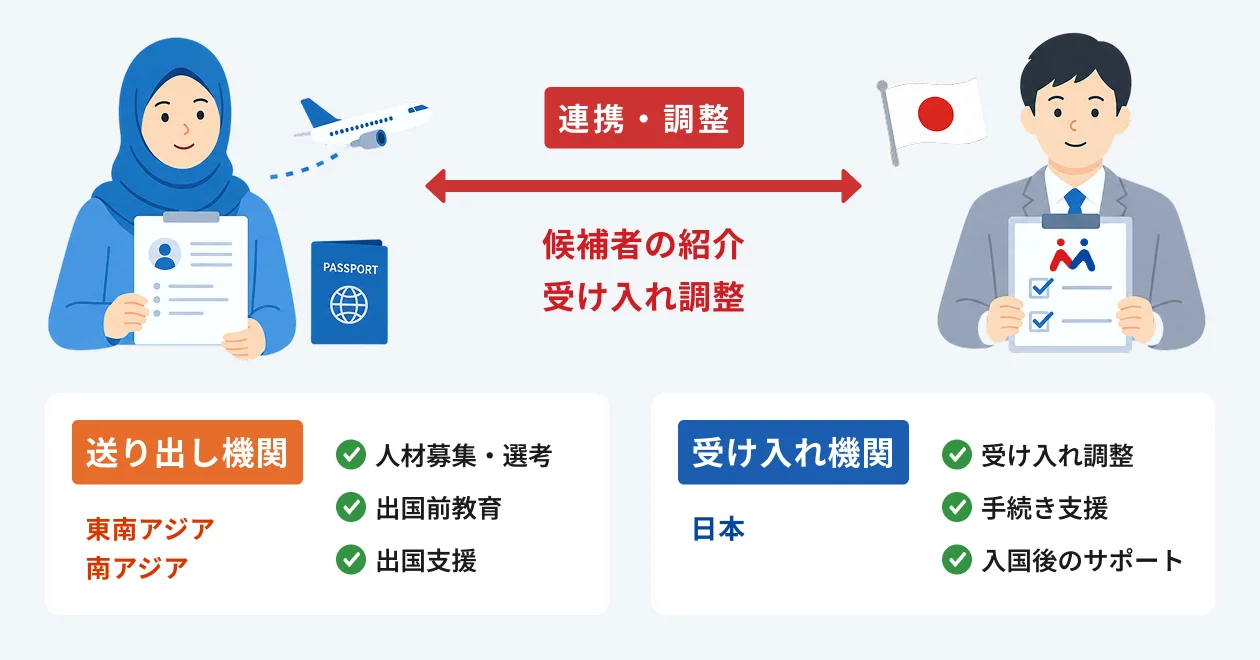 送り出し機関が人材募集・選考、出国前教育、出国支援を行い、受け入れ機関が受け入れ調整、手続き支援、入国後のサポートを行う連携イメージ
